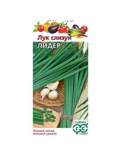 Семена Лук слизун Лидер 0,5 г Гавриш