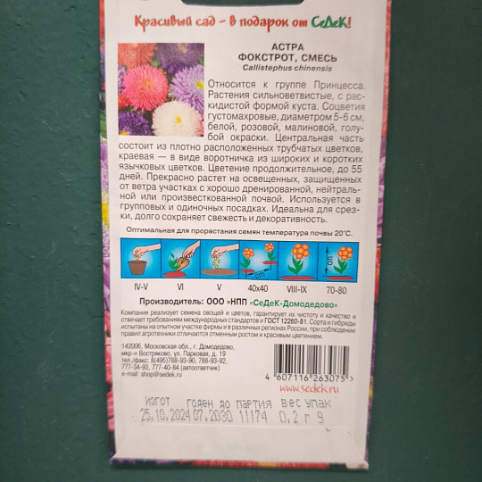 Семена Цветы, Астра, Фокстрот, цветная упаковка, Седек