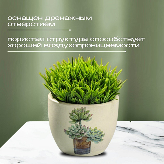 Кашпо керамика, 0.2 л, 6.5х8х6.5 см, в ассортименте, Кактусы, Y3-1295/318493