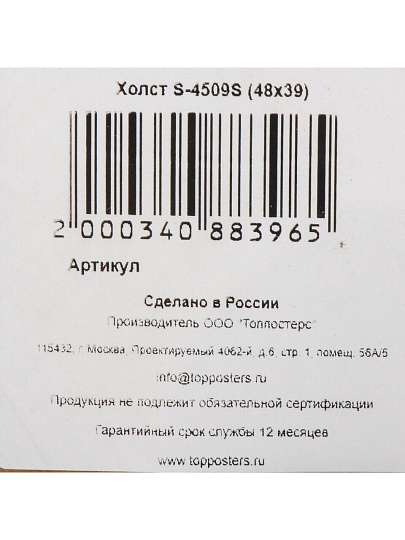 Картина холст, 48х39 см, S-4509S