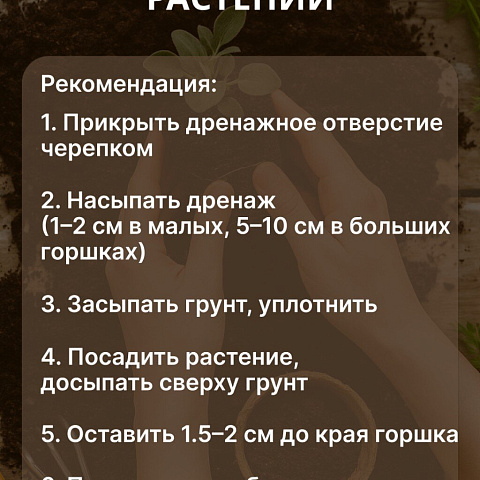 Грунт Жирнозем, универсальный, 20 л, Peter Peat