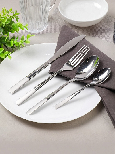 Набор столовых приборов нержавеющая сталь, 24 предмета, Daniks, Alta