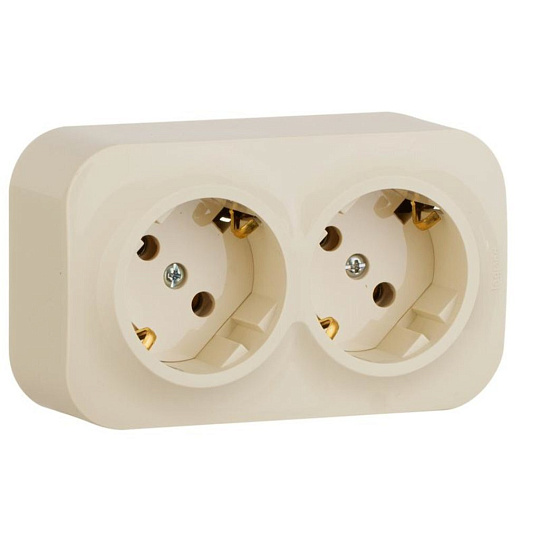 Розетка 2-м ОП Quteo 16А IP20 250В 2х2P+E с заземл. без защ. шторок сл. кость Leg 782263