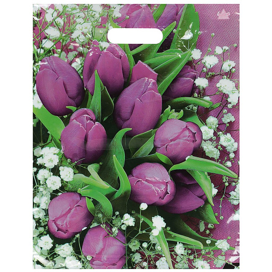 Пакет 31х40 см, 60 мкм, ПЭТ ламинат, с вырубными ручками, в ассортименте, Тико, Триумф