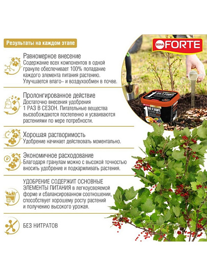 Удобрение Осеннее, с биодоступным кремнием, пролонгированное, ведро, минеральное, 1 л, Bona Forte
