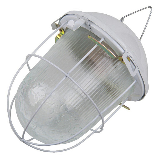 Светильник General Lighting Systems, НСП 02-100-002.01, 100 Вт, E27, на 1 лампочку, IP54, 24.6х24.6х17.2 см, с решеткой, 437822