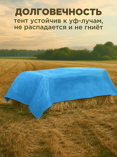 Тент универсальный, 600х600 см, 60 г/м2, люверсы через 1 м, TP-60-6-6-BL