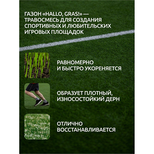 Семена Газон, Sport Meister Gras, 10 кг, мешок, ГазонCity
