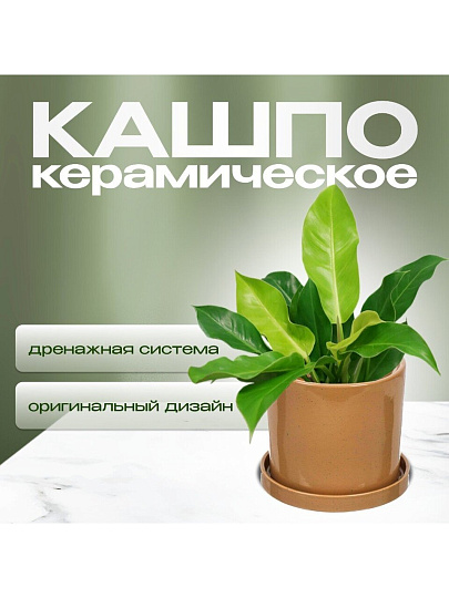 Горшок керамика, 16х15.5 см, для цветов, латте, Лидер №2, 4089