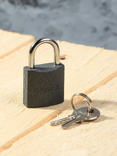 Замок навесной BARTEX чугунный 25мм, блистер, 2 ключа, 504658
