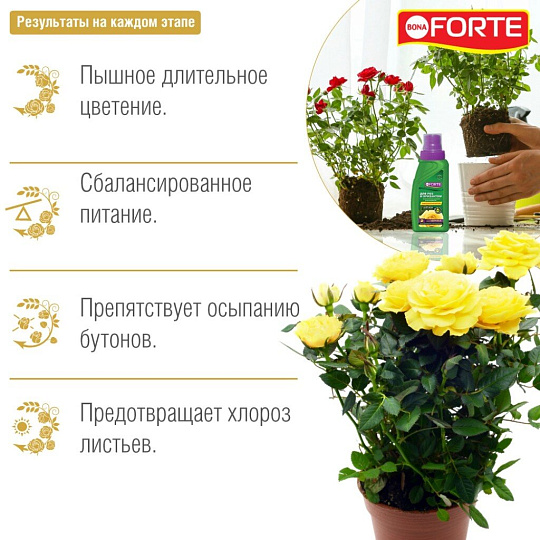 Удобрение для роз и пионов, жидкость, 285 мл, Bona Forte