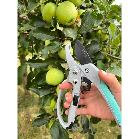 Секатор профф, лезвие 7 см, Zema, Накаба, с храповым механизмом, ZM 3003