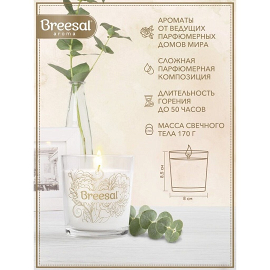 Свеча ароматическая, Breesal, Дыхание тропиков, BSAS0002