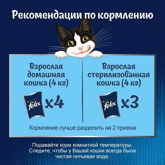 Корм для животных Феликс, Природа вкуса, 75 г, для взрослых кошек, кусочки в соусе, говядина, пауч, 12512725