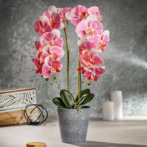 Цветок искусственный декоративный Композиция орхидея, 15х15х60 см, Y4-3144