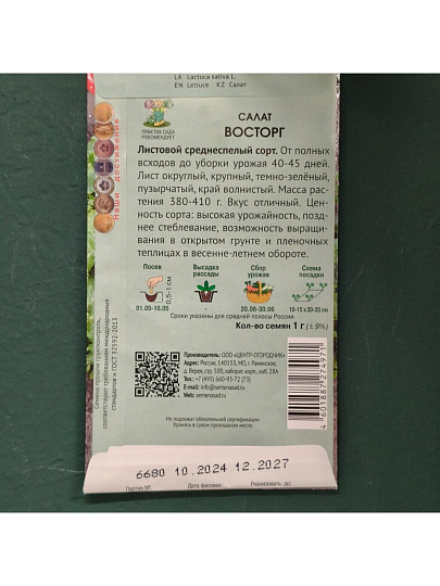 Семена Салат листовой, Восторг, 1 г, цветная упаковка, Поиск
