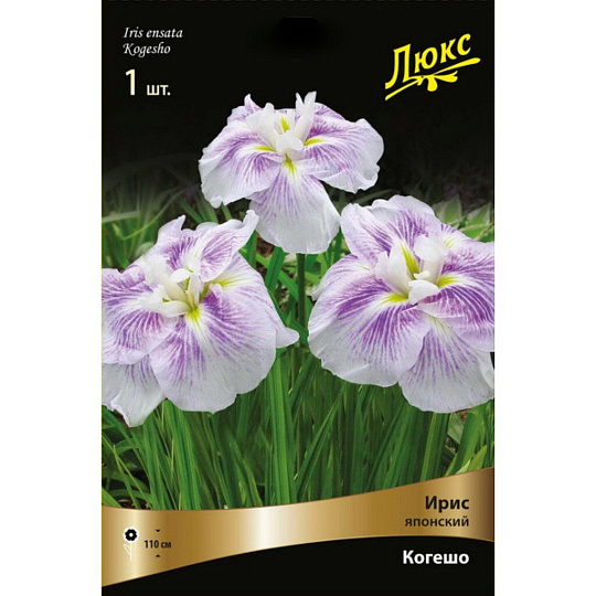 Луковицы Ирис японский, Когешо