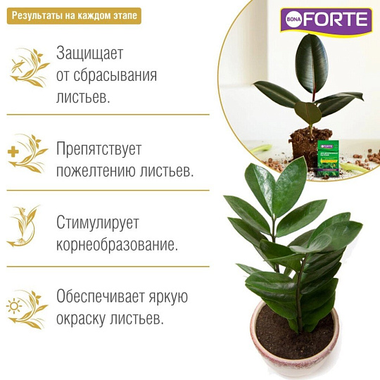 Удобрение Здоровье, для декоративно-лиственных растений, минеральное, жидкость, 10 мл, Bona Forte