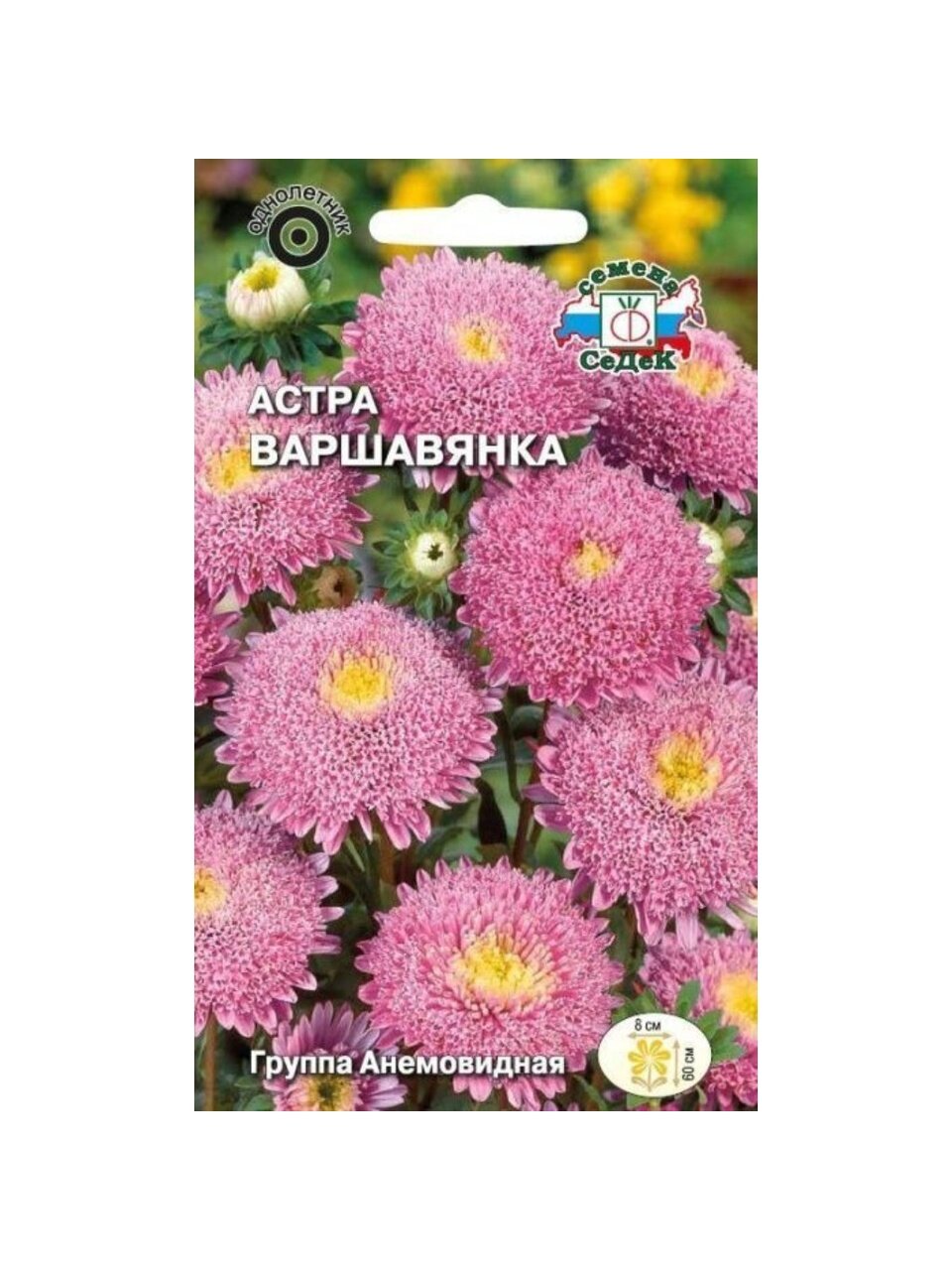 Семена Цветы, Астра, Варшавянка, 0.2 г, цветная упаковка, Седек