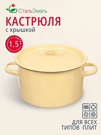 Кастрюля эмалированная сталь, 1.5 л, крышка сталь, СтальЭмаль, 2с15/1/ 6с15, в ассортименте, индукция