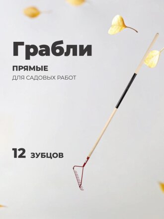 Грабли прямые, 12 зуб, металл, 34 см, с выносной тулейкой, садовые, черенок деревянный