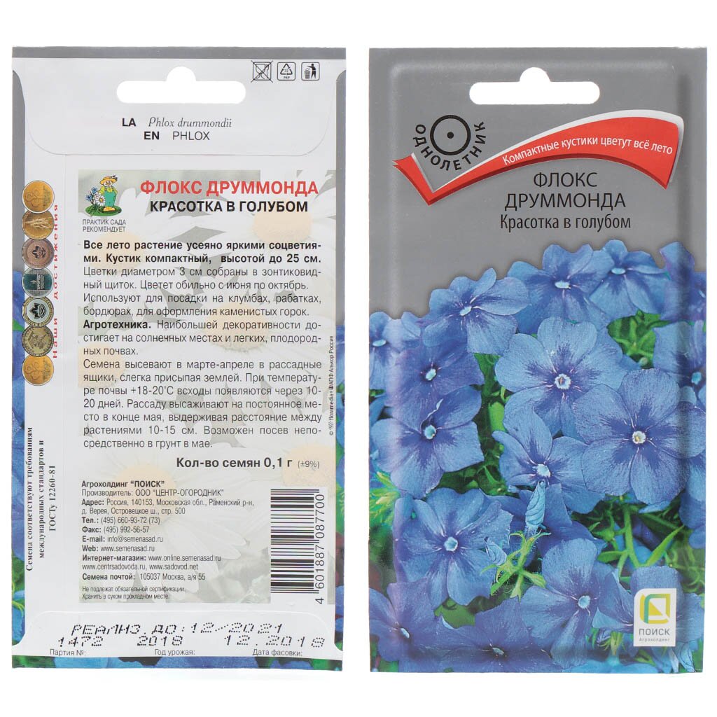 Семена Цветы, Флокс, Друммонда Красотка в голубом, 0.1 г, цветная упаковка, Поиск