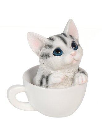 Котенок в чашке