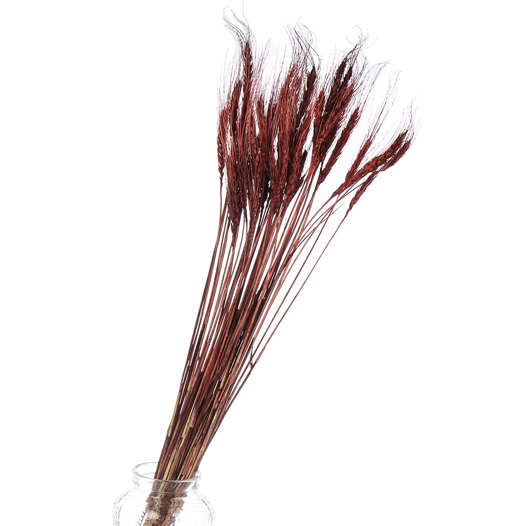 Цветок искусственный декоративный Колосья, 70 см, коричневый, Y6-10403 ок искусственный декоративный колосья 60 см фиолетовый y4 6311