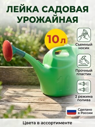 10 л