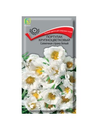 Солнечная страна белый