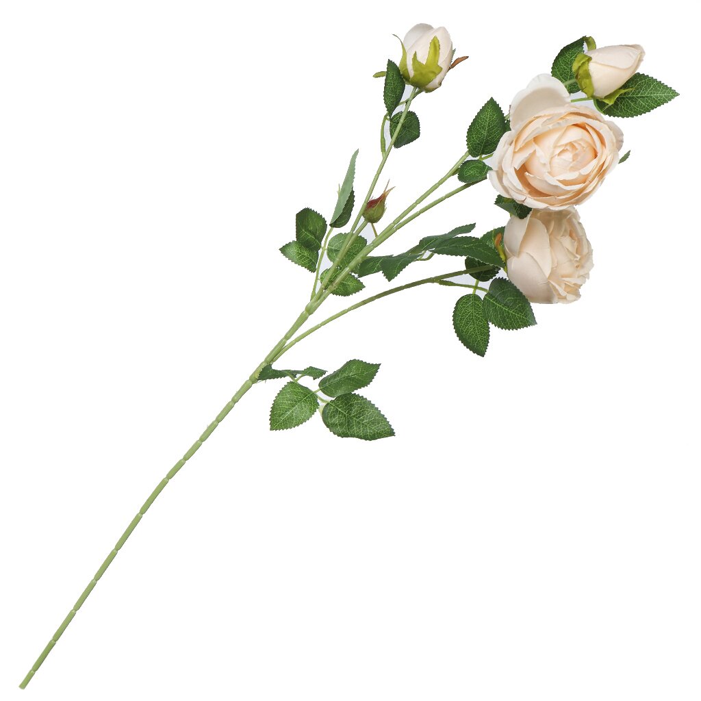 Цветок искусственный декоративный Ранункулюс, 60 см, белый, Y4-7960 ок искусственный декоративный роза 40 см белый y4 5264