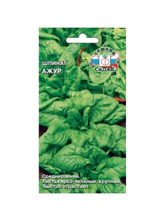 Семена Шпинат, Ажур, цветная упаковка, Седек