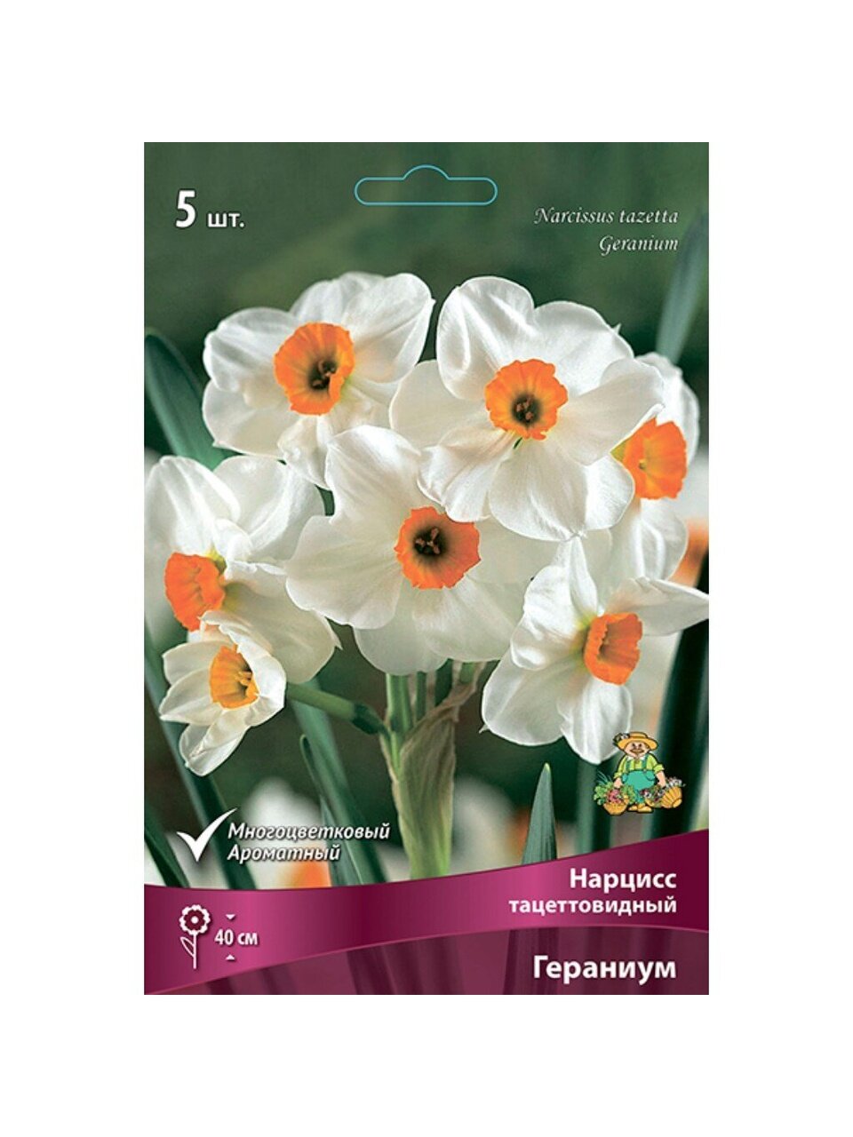 Луковицы Нарцисс тацеттовидный, Гераниум, 12-14/К, 5 шт