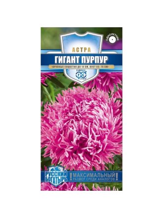 Гигант пурпур