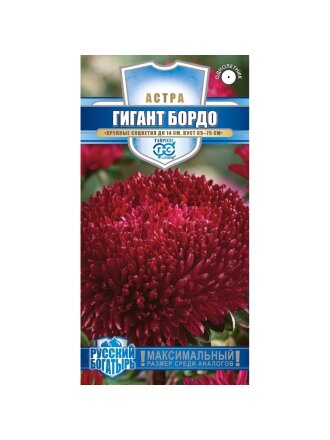 Гигант бордо