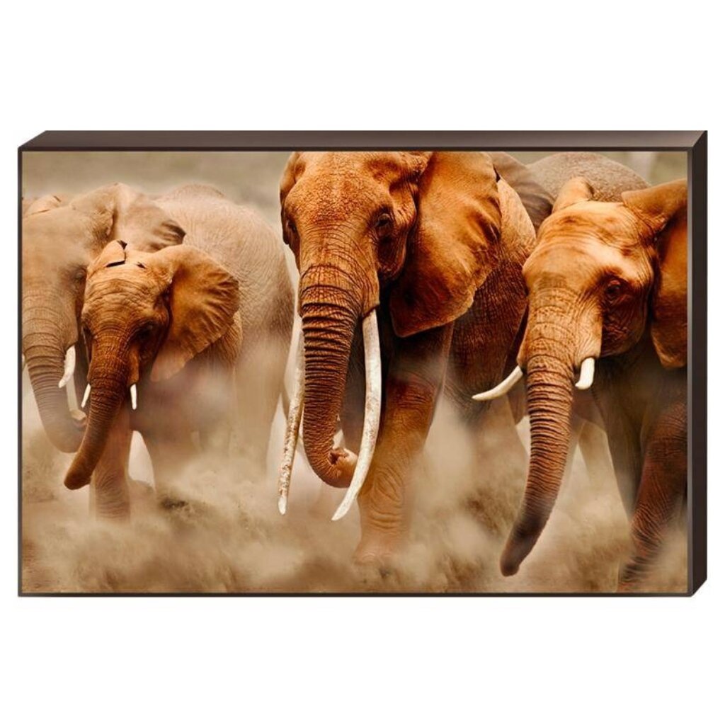 Картина декобокс, 60х90 см, Слоны, H-1003