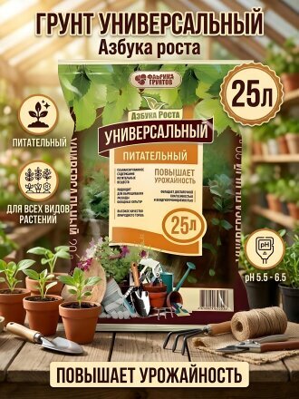 25 л