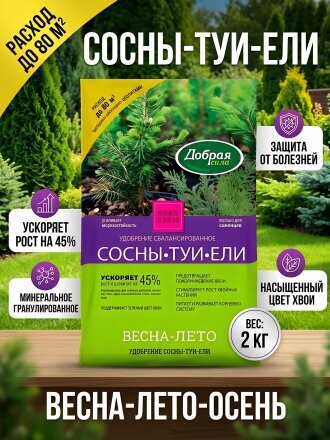 Сосны-туи-ели