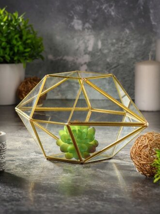 Флорариум 27х13 см, стекло, золотой, Y6-10454