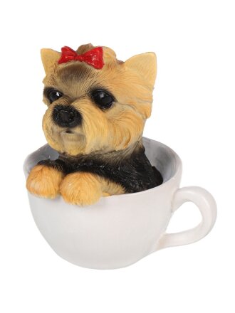 Йорк в чашке