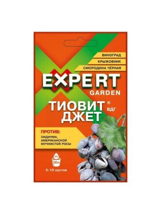Фунгицид Тиовит Джет, от оидиума, мучнистой росы на винограде, крыжовнике, смородине, 30 г, Expert Garden