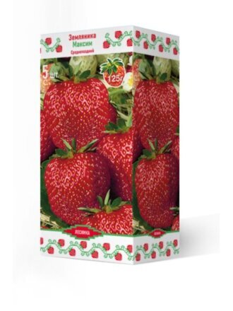 Саженцы Земляника садовая, Максим Гигантелла, 5 шт, 250921