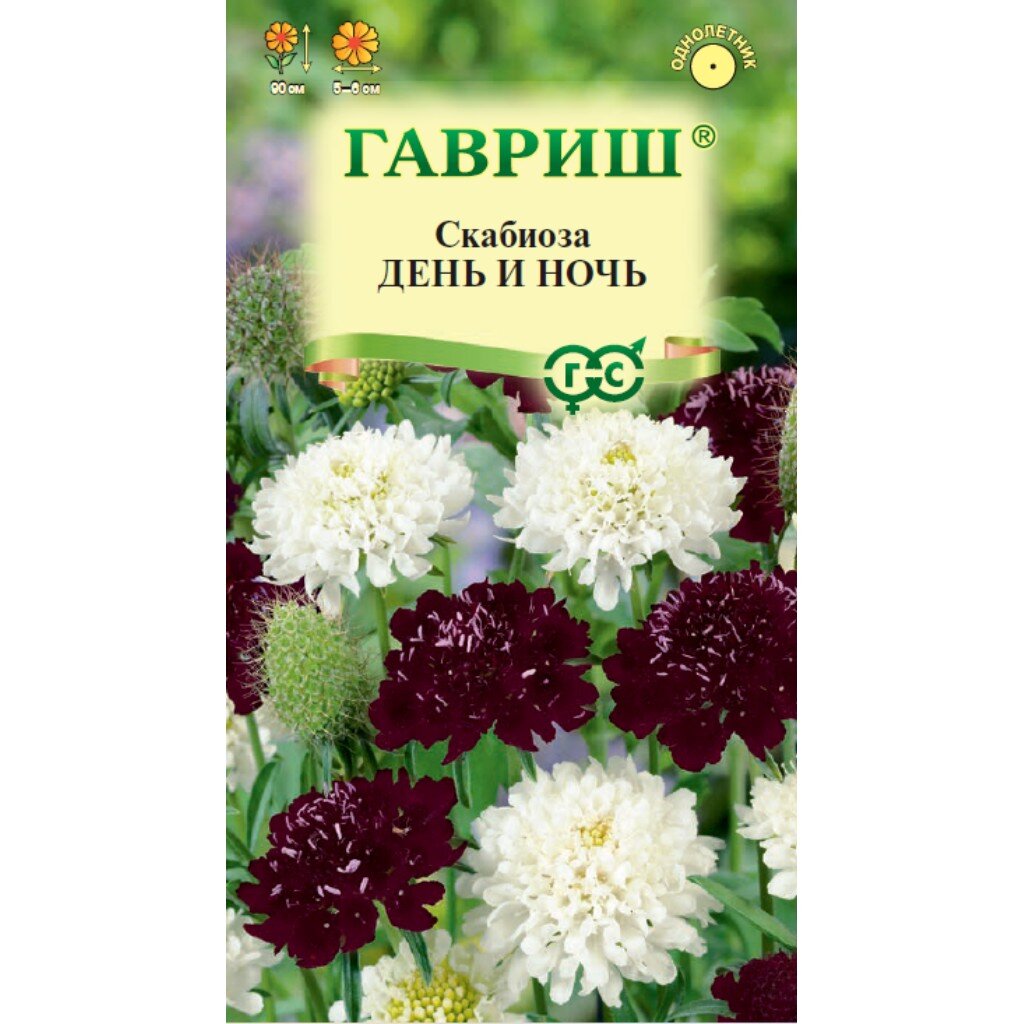 Семена Цветы, Скабиоза, День и ночь, 0.2 г, Цветочная коллекция, пурпурная, смесь, цветная упаковка, Гавриш