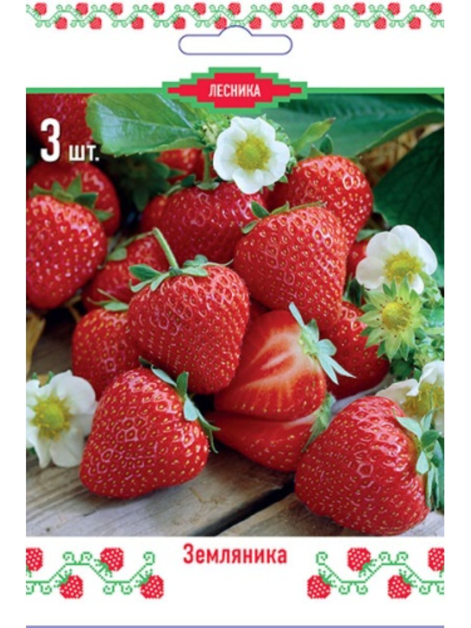Саженцы Земляника садовая, Мармолада, 3 шт, 824646