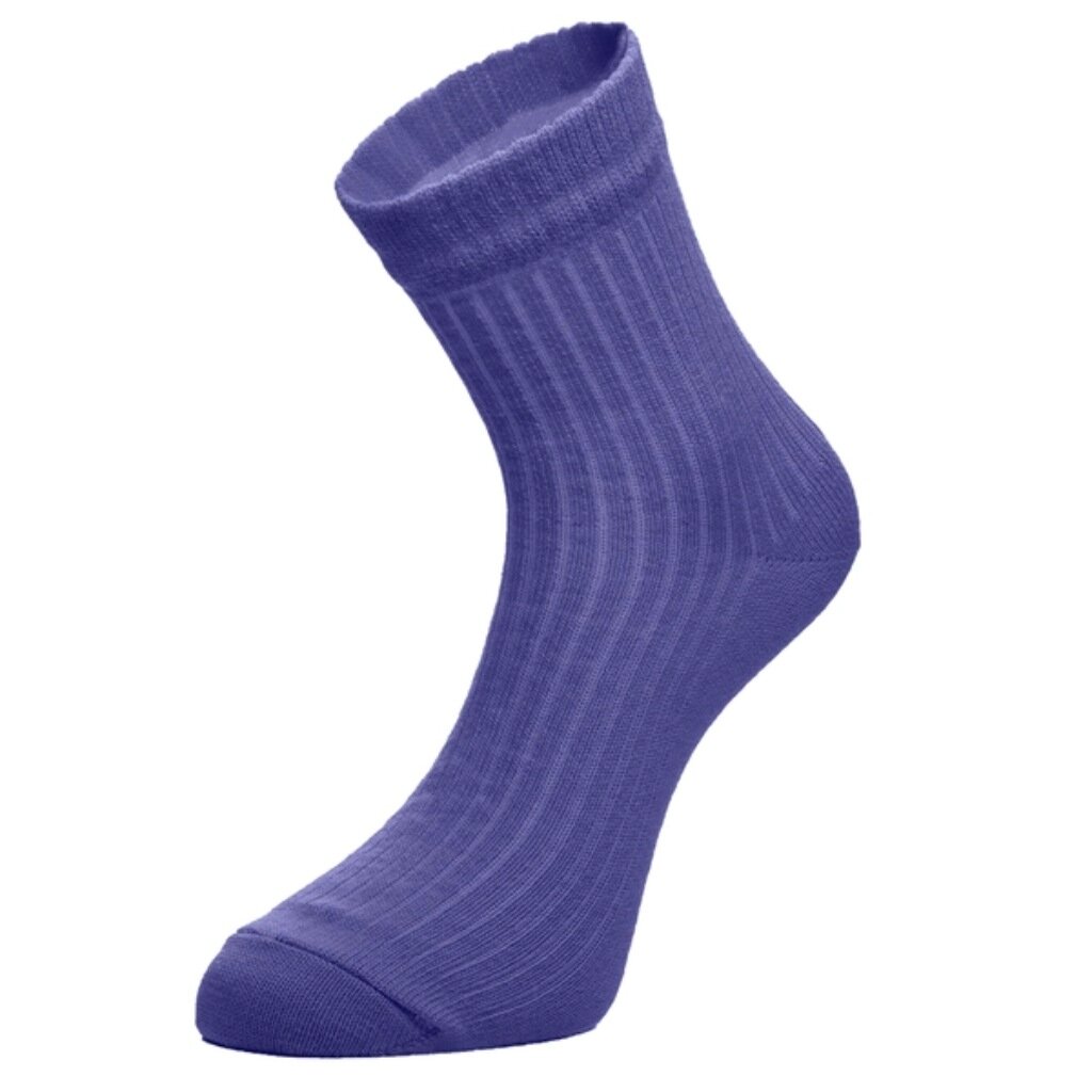 Носки для женщин, Chobot, НГ, 409, сиреневые, р. 23, 53-02 носки для женщин chobot нг 409 темно синие р 23 53 02