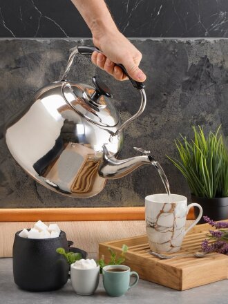 Чайник нержавеющая сталь, 5 л, со свистком, зеркальный, ручка металл, пластик, Daniks, GS-28224