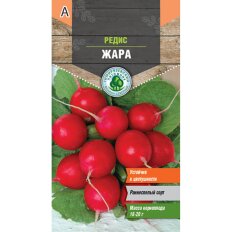 Жара