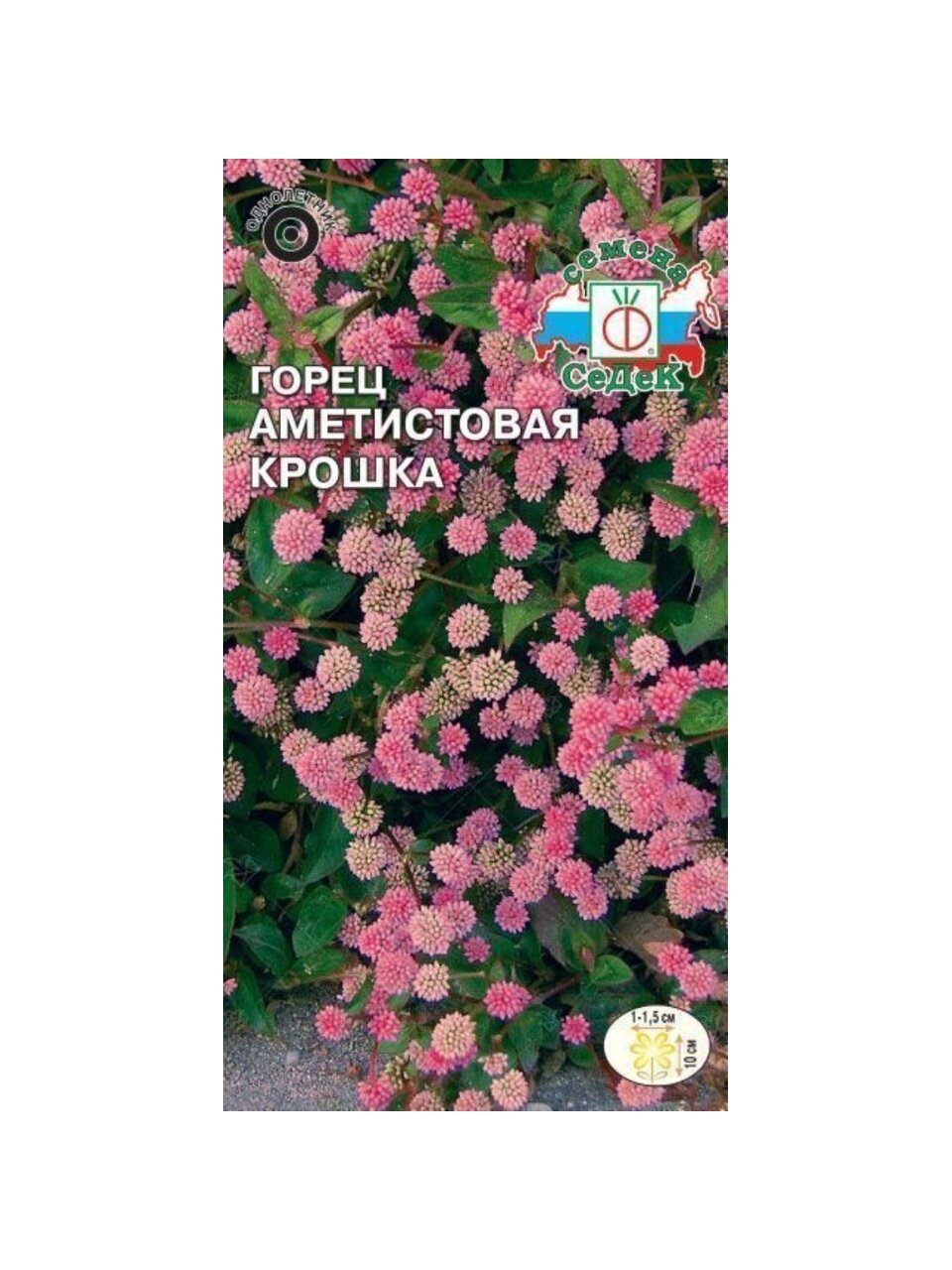 Семена Цветы, Горец, Аметистовая крошка, 0.1 г, цветная упаковка, Седек