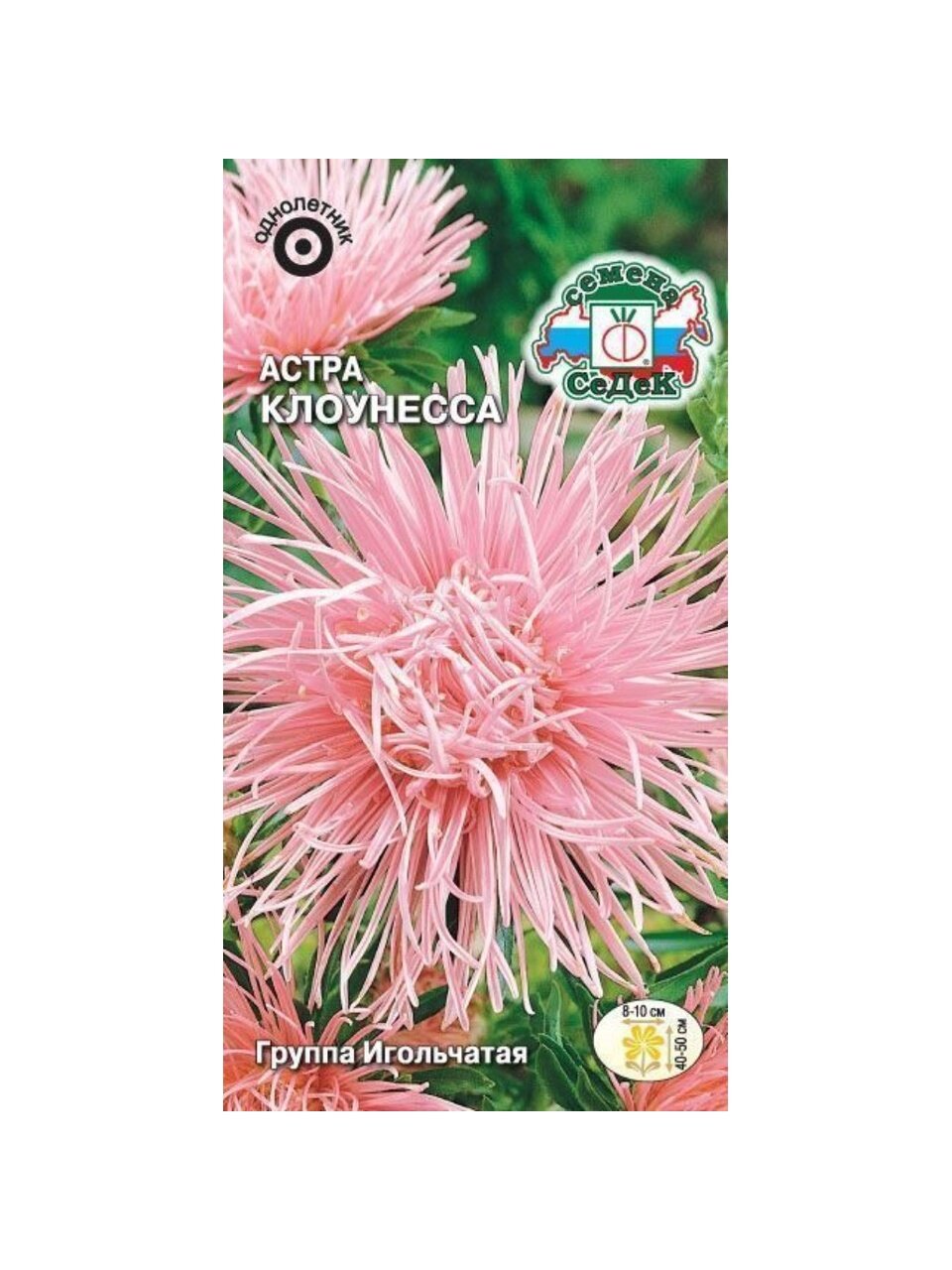 Семена Цветы, Астра, Клоунесса, 0.2 г, цветная упаковка, Седек