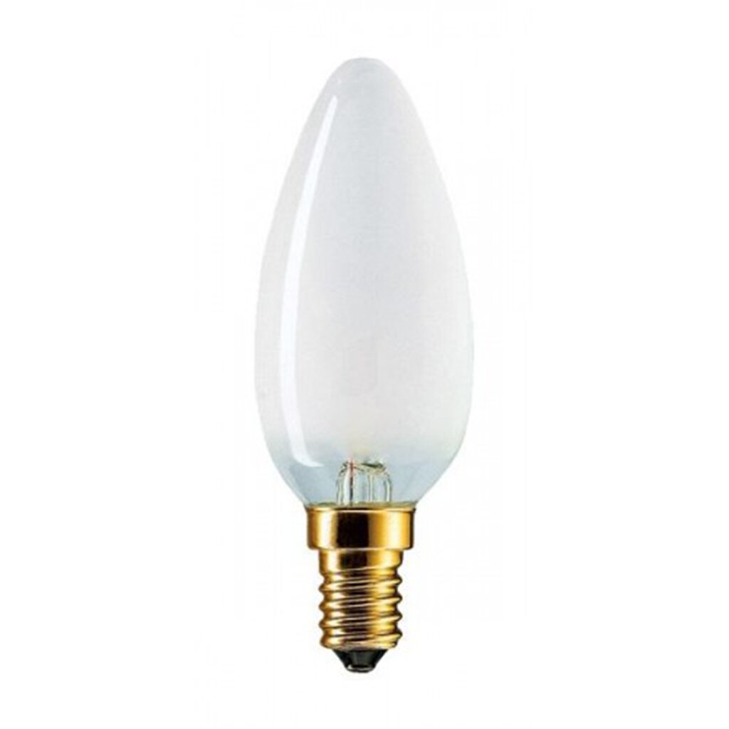 Лампа накаливания Favor ДСМТ 40 Вт E14